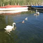 Nagelsmederij In Het Waldwinkel