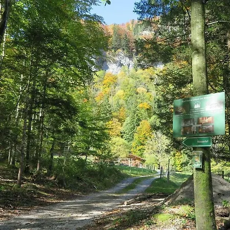 Nagelsmederij In Het Waldwinkel