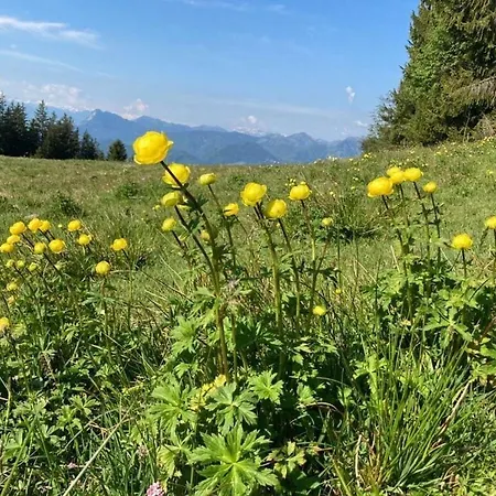 Nagelsmederij In Het Waldwinkel Holiday home Aschau im Chiemgau