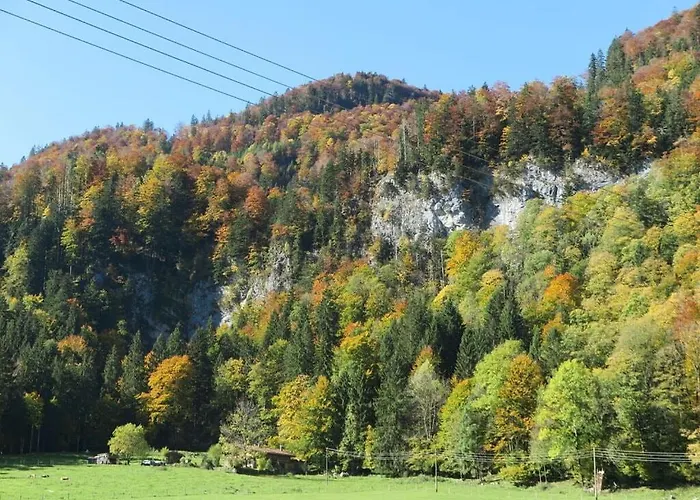 Nagelsmederij In Het Waldwinkel 아샤우임히엠가우