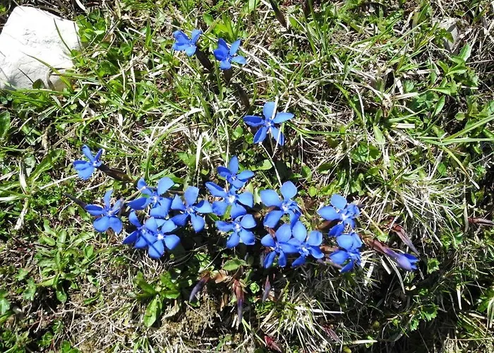 Nagelsmederij In Het Waldwinkel 펜션 아샤우임히엠가우